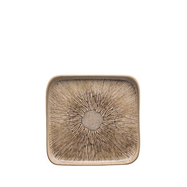 Earth - Square Plate