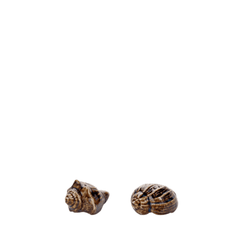 Marina Reef - Salt&Pepper