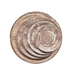 Timber Ivory - Plate