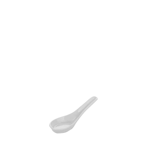 Asian Spoon